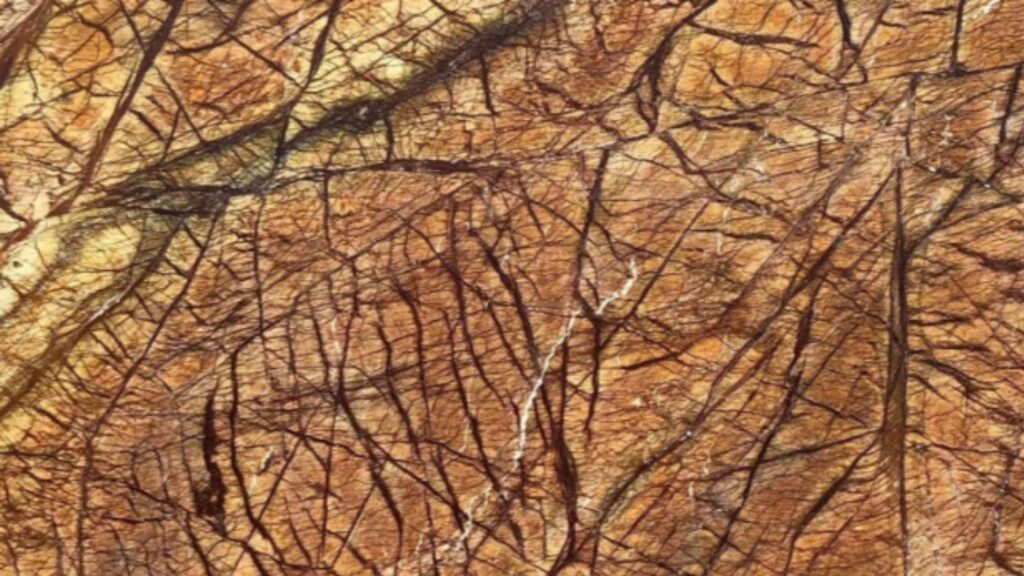 Rainforest Brown Marble